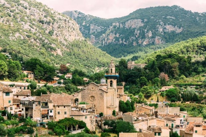 Mallorca Shore Excursion: Exclusive Soller and Valldemosa - Assistance and Support