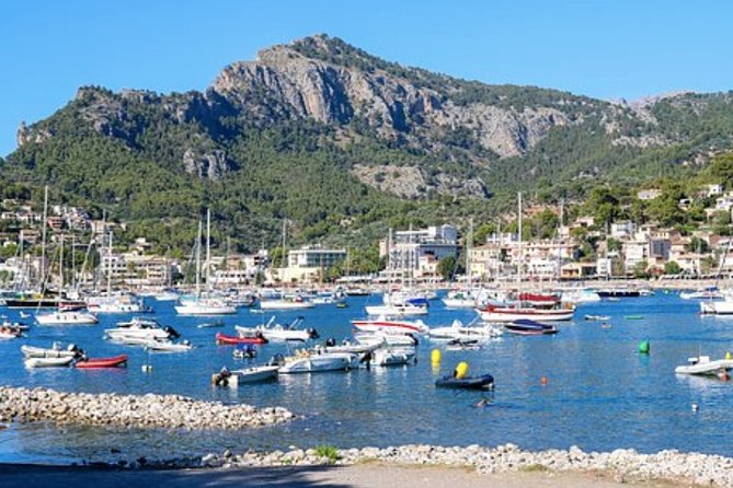 Mallorca Shore Excursion: Exclusive Soller and Valldemosa - Price and Terms