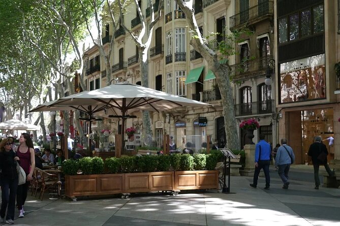 Mallorca Shore Excursion Highlights Private Tour Including Valldemossa - Specific Review Example