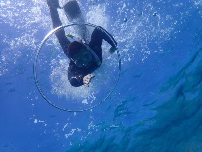 Mallorca: Snorkeling in a Beautiful Nature Reserve - Activity Highlights