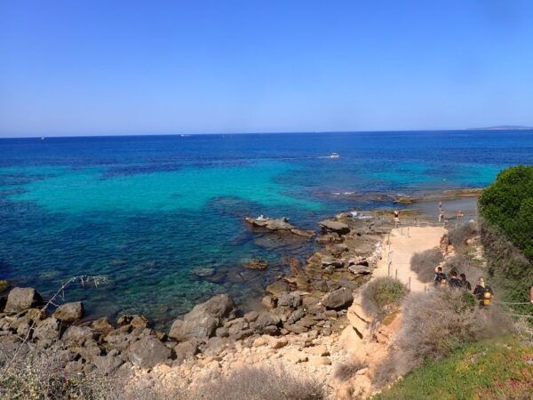 Mallorca: Snorkeling in a Beautiful Nature Reserve - Booking Information and Important Details