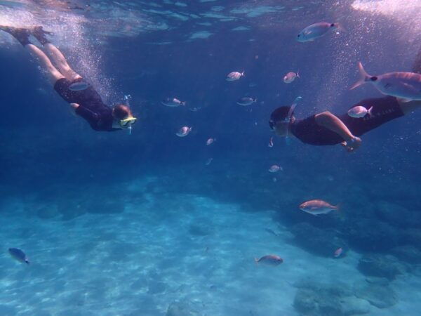 Mallorca: Snorkeling in a Beautiful Nature Reserve - The Sum Up
