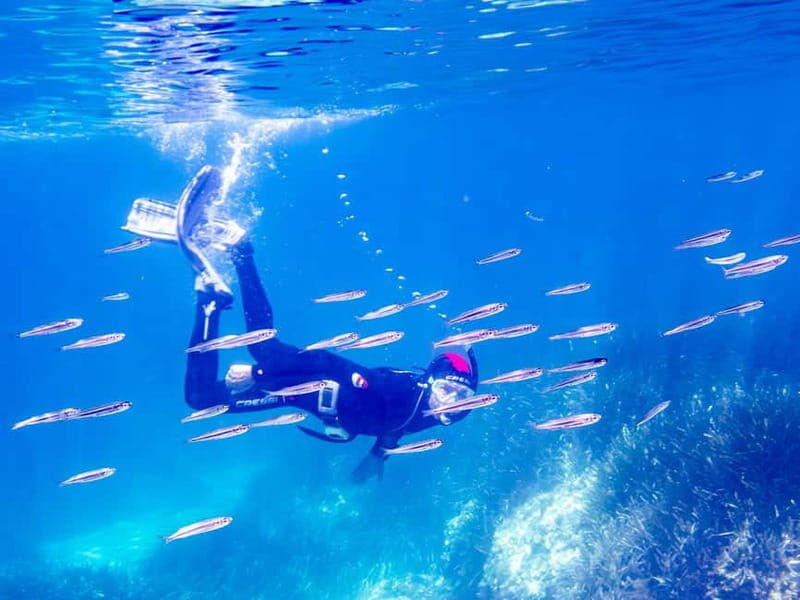 Mallorca: Snorkeling tour with instructor from a boat in a hidden bay - Good To Know
