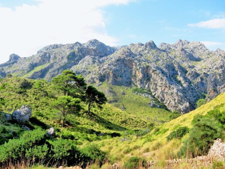 Mallorca Sòller Walking & Picnic Tour (Palma-Magaluf-Sòller) - Booking Information