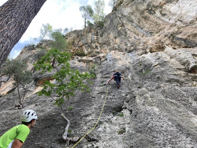 Mallorca: Sport Climbing Day or Course - Good To Know