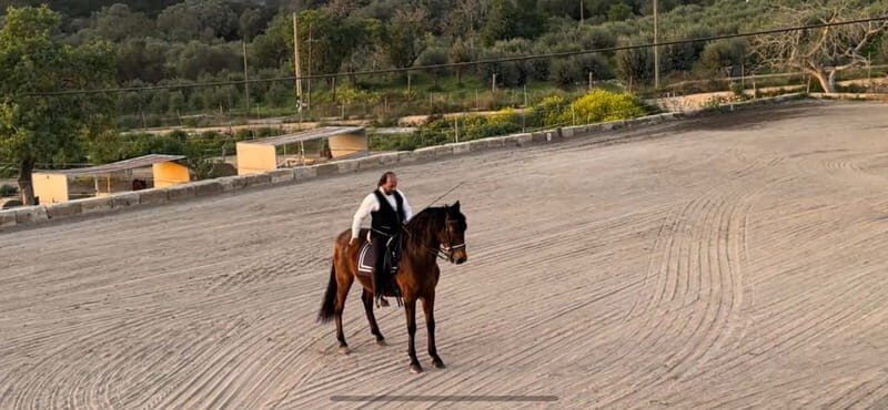 Mallorca: Sunset excursion, horse show, and falconry. - Good To Know