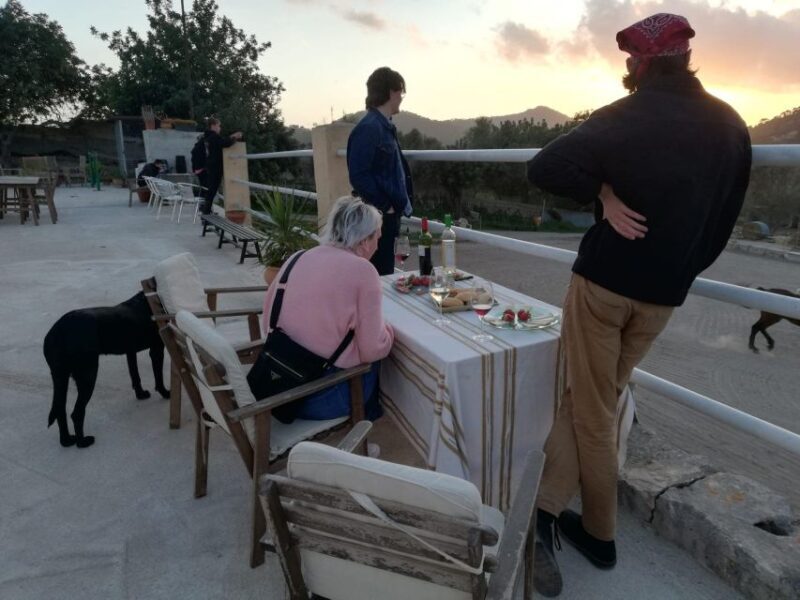 Mallorca: Sunset excursion, horse show, and falconry. - Food and Refreshments