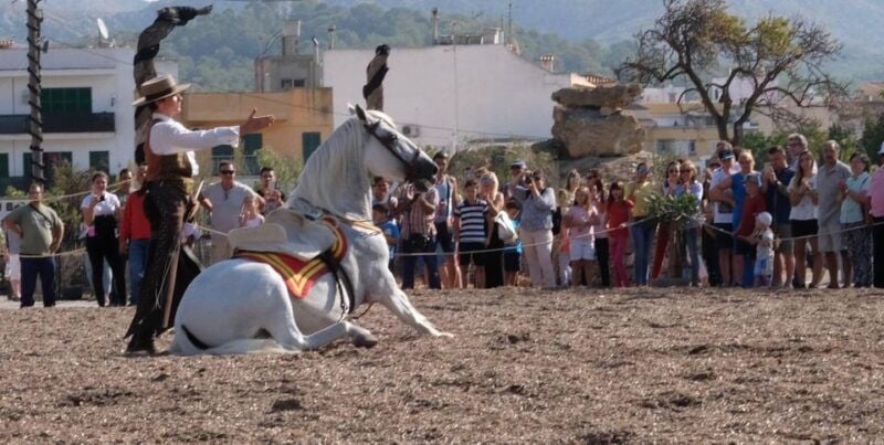 Mallorca: Sunset & Spanish Riding School Show - Meet the Horses and Get Ready