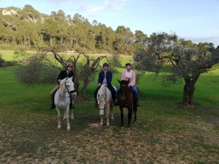Mallorca: Sunset & Spanish Riding School Show - Explore the Randa Valley
