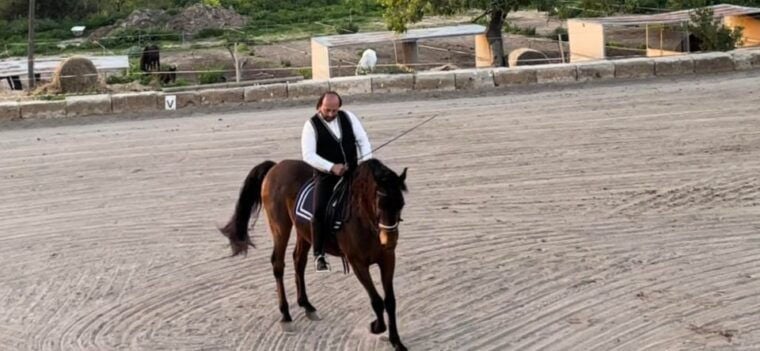 Mallorca: Sunset & Spanish Riding School Show - Group Size and Language Support