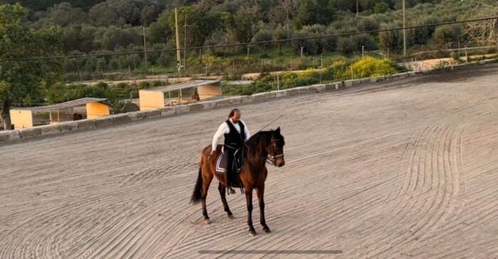 Mallorca: Sunset & Spanish Riding School Show - Important Considerations