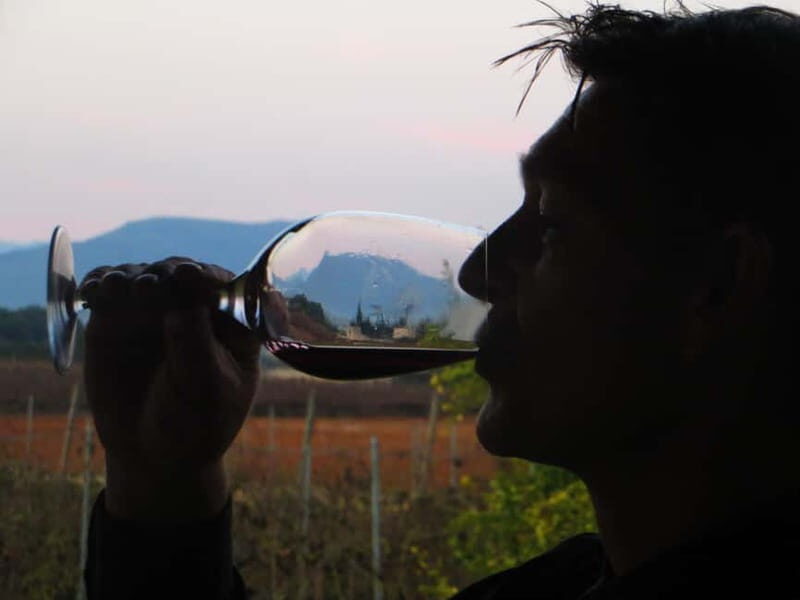 Mallorca: Sunset Wine Tasting Minibus Bodega Tour - Practical Details and Comfort