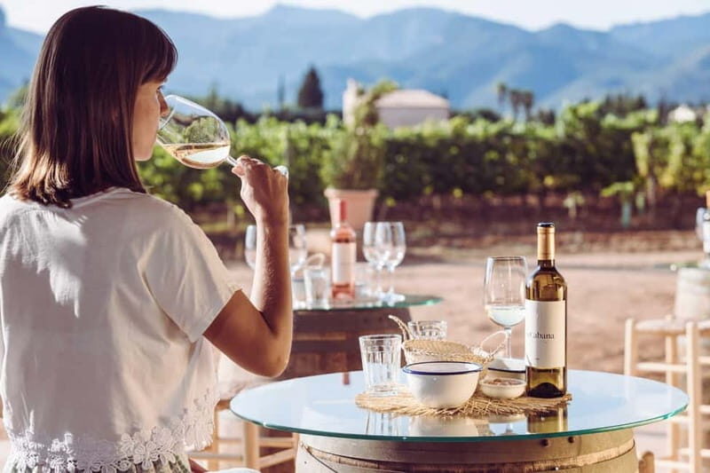 Mallorca: Sunset Wine Tasting Minibus Bodega Tour - Why This Tour Stands Out