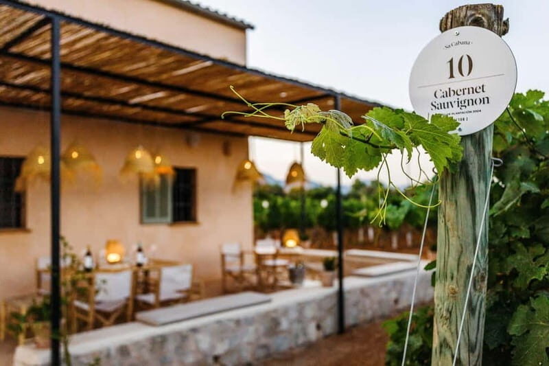 Mallorca: Sunset Wine Tasting Minibus Bodega Tour - Who Is This Tour Best For?