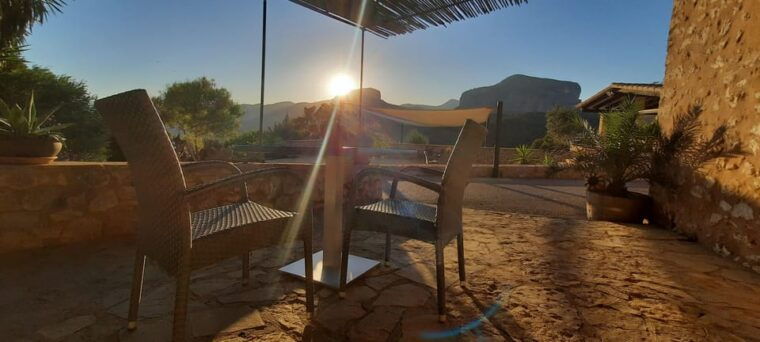 Mallorca: Sunset Wine Tasting Minibus Tour - ENGLISH GUIDE - Experience and Features