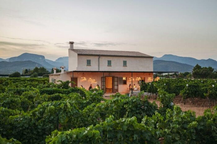 Mallorca: Sunset Wine Tasting Minibus Tour - ENGLISH GUIDE - Common Questions