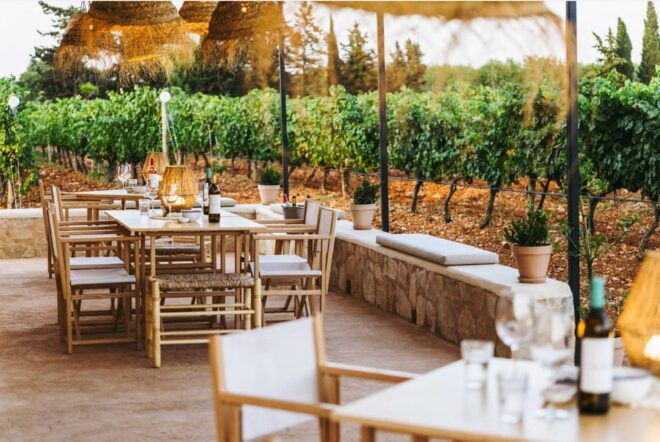 Mallorca: Sunset Wine Tasting Minibus Tour - ENGLISH GUIDE - Scenic Drive With Sommelier
