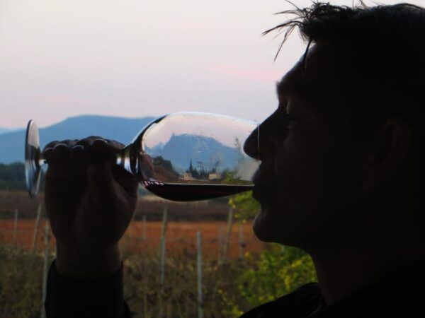 Mallorca: Sunset Wine Tasting Minibus Tour - ENGLISH GUIDE - Cancellation Policy