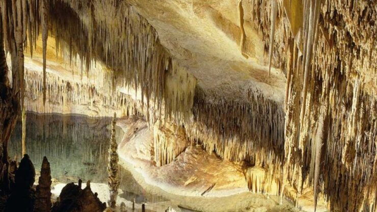 Mallorca: Ticket for Caves of Drach With Pickup Service - Experience Highlights
