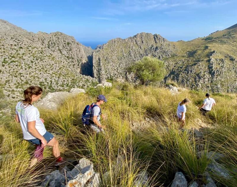 Mallorca: Torrent de Pareis trekking Adventure - An Authentic Mallorca Adventure in the Torrent de Pareis