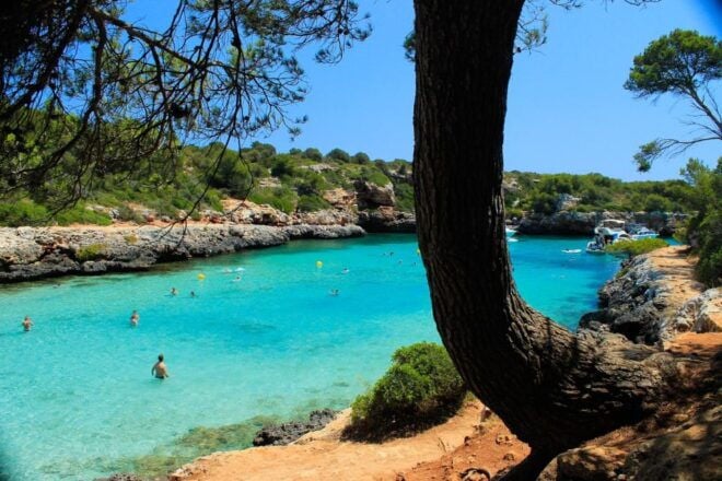 Mallorca Tour: Cala Sa Nau, Cala Mitjana, and Cala Marçal - Itinerary Highlights