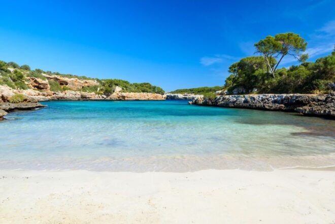 Mallorca Tour: Cala Sa Nau, Cala Mitjana, and Cala Marçal - Tour Description