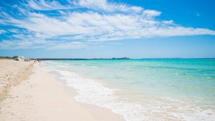Mallorca Tour: Es Trenc, Cala Pi & Los Deltas - Pickup and Transportation