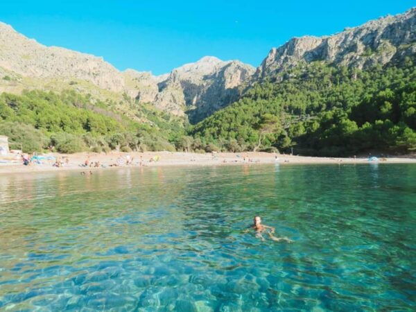 Mallorca Tour: Sa Calobra, Torrent De Pareis and Cala Tuent - Scenic Drives and Beaches