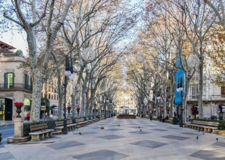 Mallorca: Transfer to Palma Self-Guided Tour - Tour Pricing and Duration