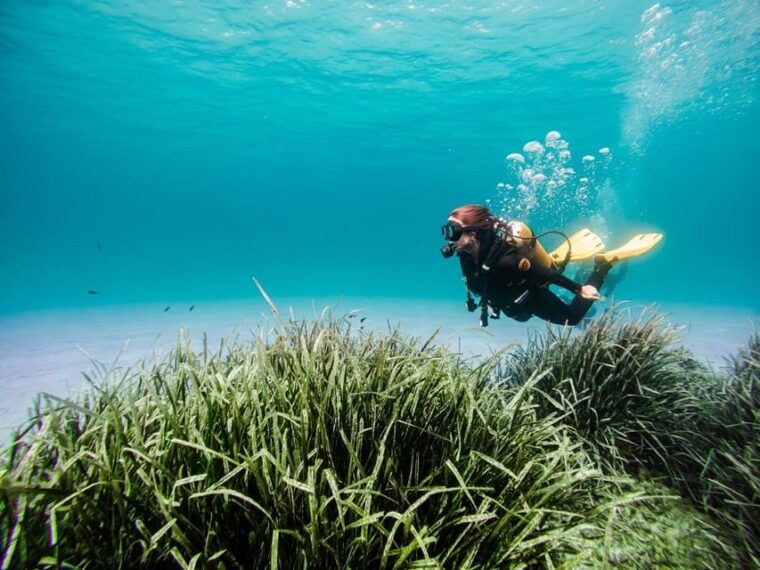 Mallorca: Try Scuba Diving by Boat - Diving Experience