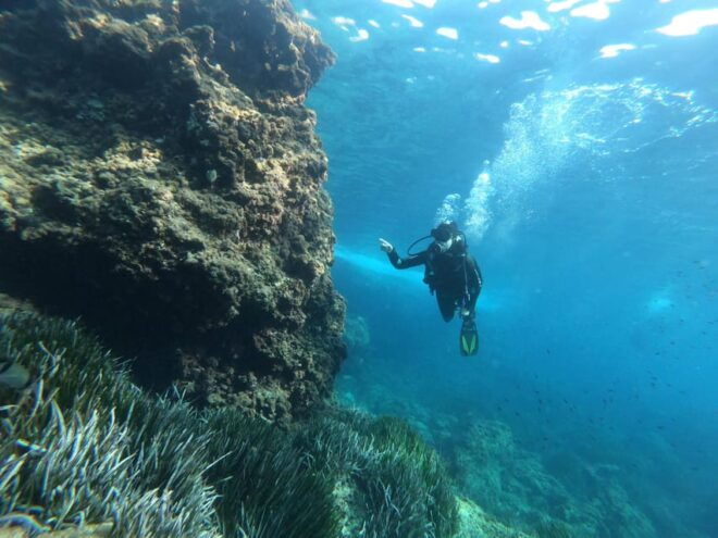 Mallorca: Try Scuba Diving by Boat - Expert Guidance and Languages