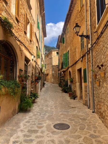 Mallorca: Valdemossa and Port of Soller Potato Cake - Inclusions and Exclusions