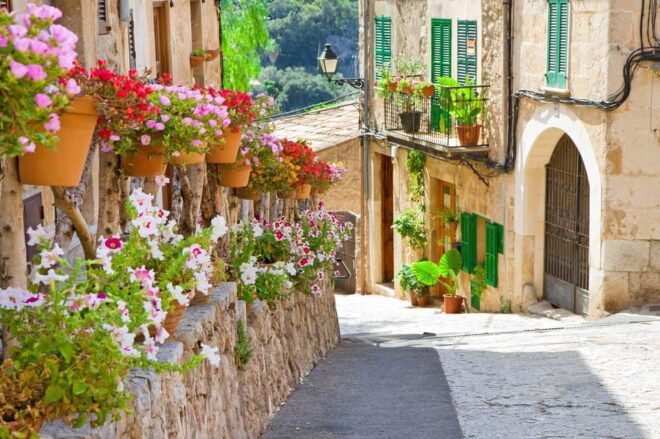 Mallorca: Valldemossa Half Day Tour - Valldemossa Highlights