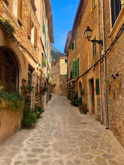 Mallorca: Valldemossa Half Day Tour - Experience and Activities