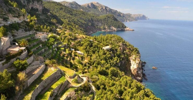 Mallorca: Valldemossa & Soller Tour - Tour Details