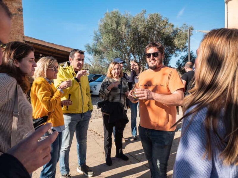 Mallorca: Visit a winery and enjoy a wine tasting, along with some Mallorcan products - FAQ