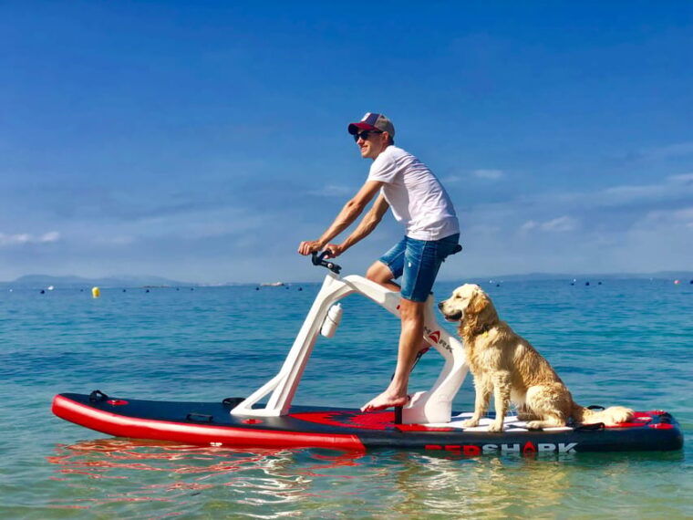 Mallorca: Water Bike Tour in Alcanada (Alcúdia) - Experience Highlights