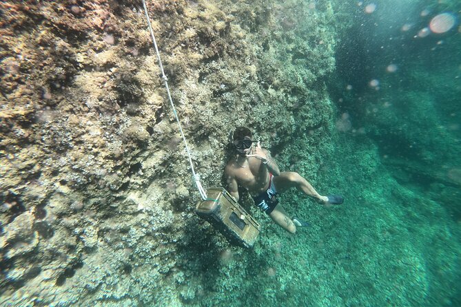 Mallorca Water Sports Adventure With Kayaking, Caving, Snorkel - Cancellation Policy