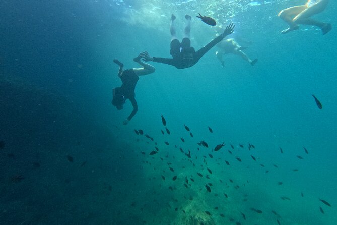 Mallorca Water Sports Adventure With Kayaking, Caving, Snorkel - Additional Information