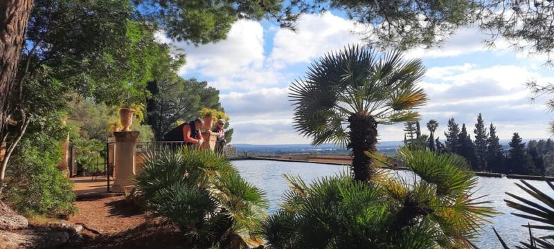 Mallorca: West Coast & Orange Valley Minibus Tour GERMAN GUIDE - Good To Know
