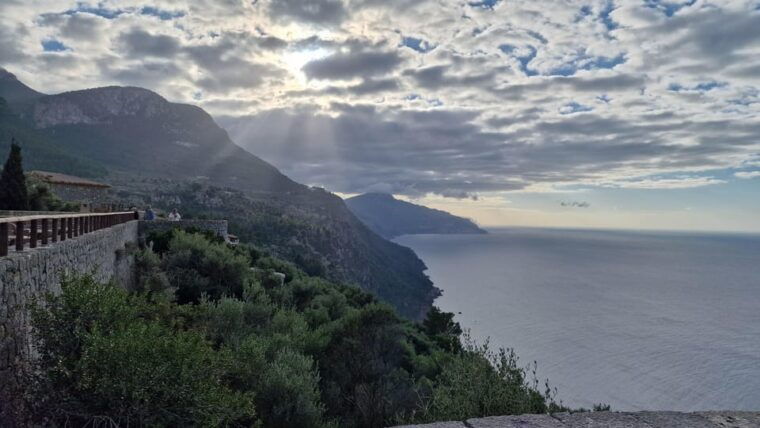 Mallorca: West Coast & Orange Valley Minibus Tour GERMAN GUIDE - Culinary Experiences