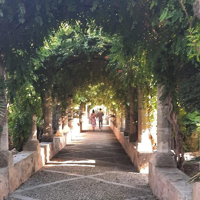 Mallorca: West Coast & Orange Valley Minibus Tour GERMAN GUIDE - Important Information and Requirements