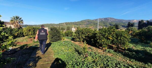 Mallorca: West Coast & Orange Valley Minibus Tour GERMAN GUIDE - Tour Duration and Cancellation