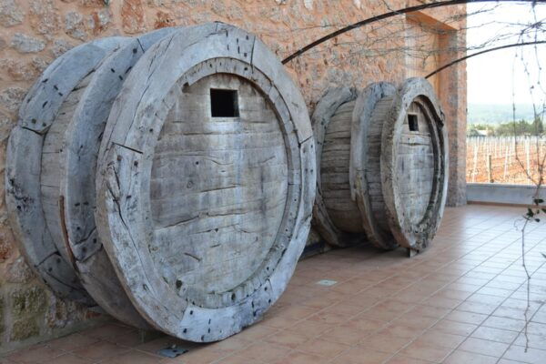 Mallorca Wine Cellar Tour XL - Incl. 3 Wine Tastings ENGLISH - Important Considerations