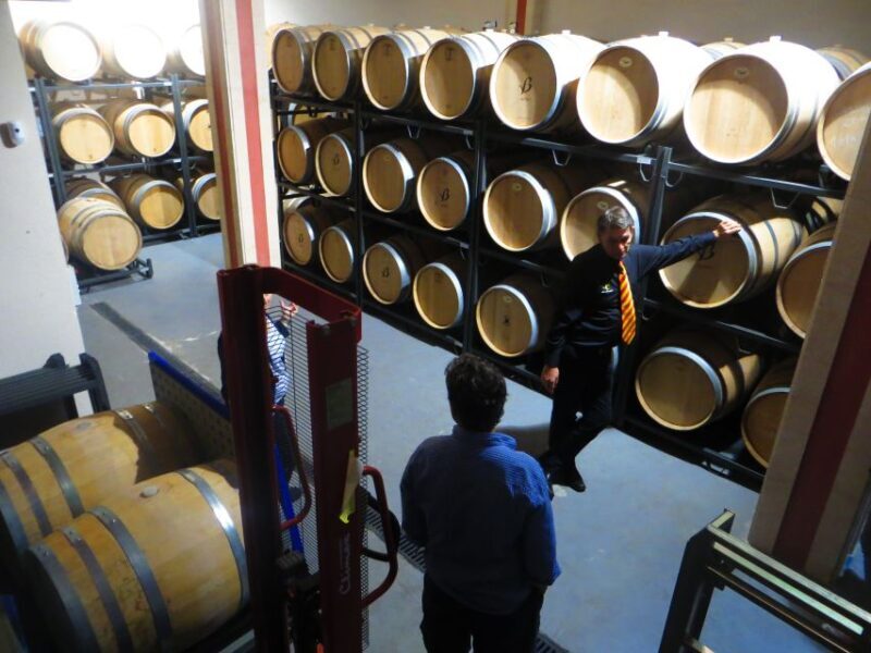 Mallorca: Wine Cellar Tour XL - including 3 Wine Tastings - Good To Know