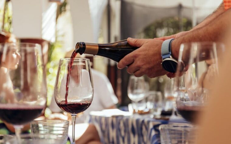 Mallorca Wine Tasting Experience: 4 Wines & Cheese - Hosts and Presentation