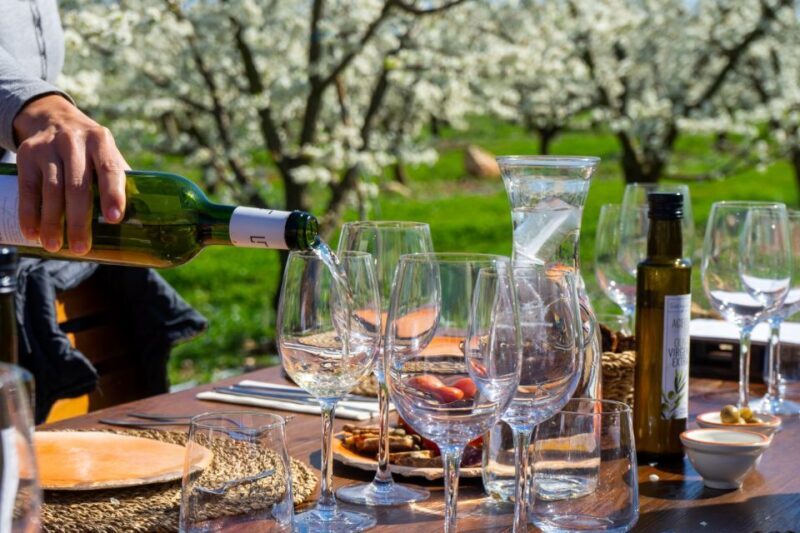 Mallorcas Emblematic Wineries Small Group Tour, two wineries - Exploring Mallorca’s Winemaking Scene: What to Expect