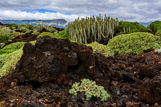 Malpaís From Güimar and Caves Following the Chaxiraxis Steps Hiking Tour - Cancellation Policy