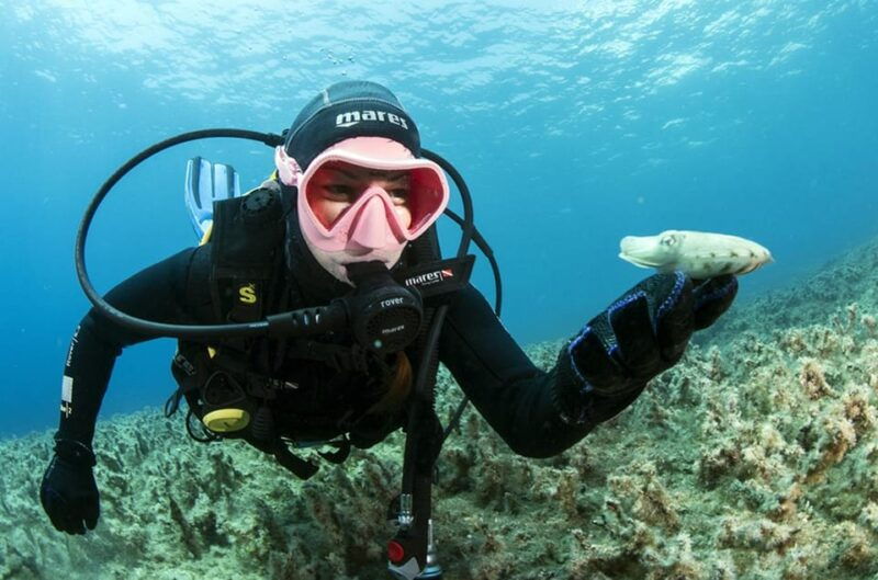 Malta: 1-Day PADI Scuba Diver Certification Beginner Course - Good To Know