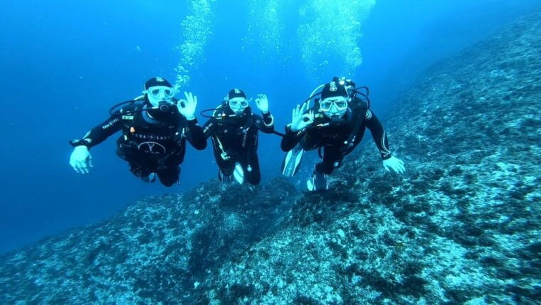 Malta: 2 Guided Dives for Certified Divers With Diving Gear - Common Questions